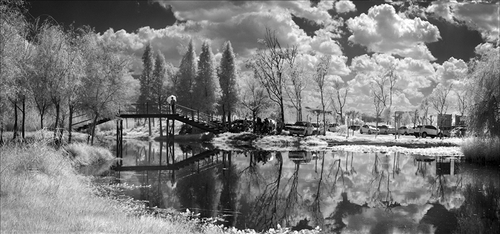 高宏18908856957《走进晋宁东大河湿地》