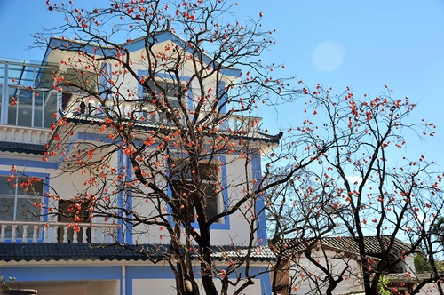 姜铭林 ：15096622201[新宅]