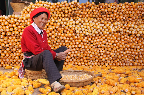 蒋晓红13888428296《喜获丰收》