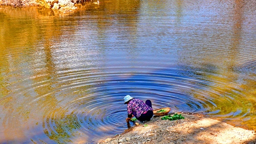 石明13619683558《美丽的东大河湿地公园》