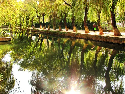 王鸿13888367187《和谐》1