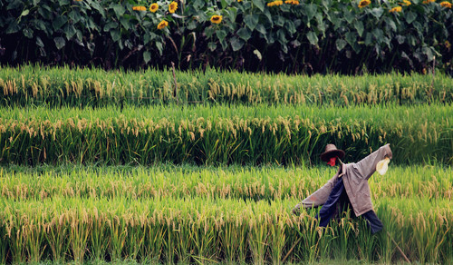 王兴华《守望》