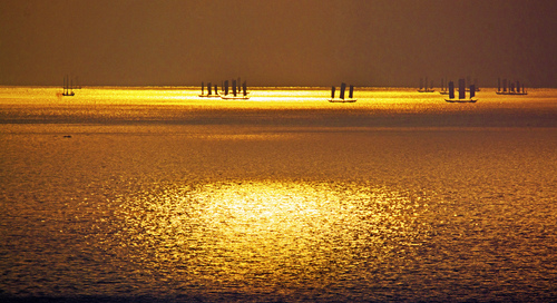 韦嘉萍13708459730《黄金眼》