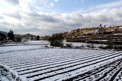 李有龙15887273298《宁静的小山村》