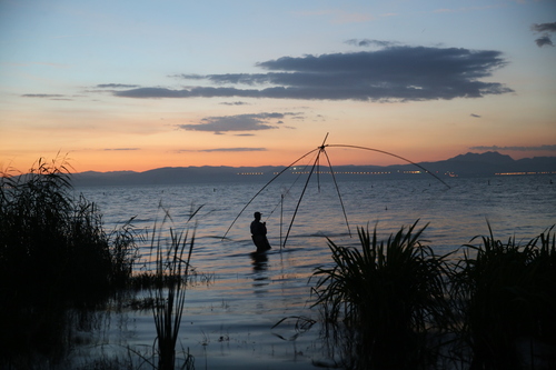 王兴华13888070366《渔歌唱晚》
