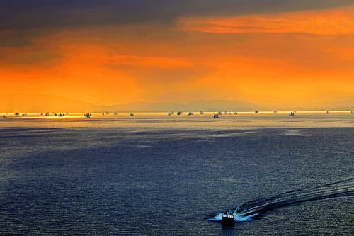 应曼，13330510493《开湖了》