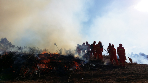 勇士  2015年度森林防火实战演练  土春荣摄