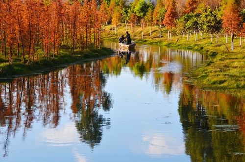 张莹洁13577049976《东大河之秋》