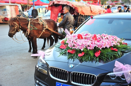 张芸：13658870878[宝马、老马]