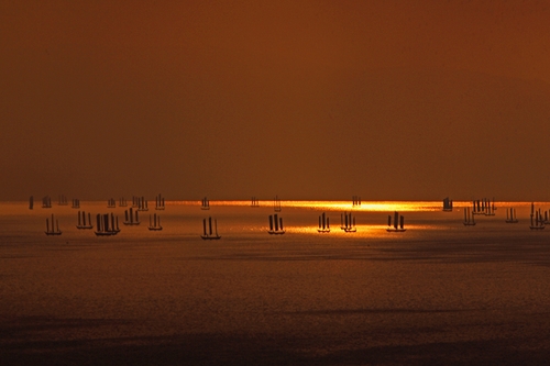 白秀华15087196423《百舸竞发》