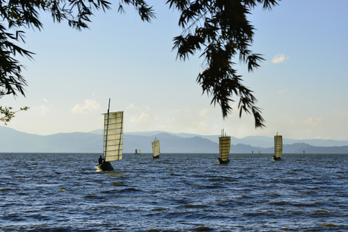 陈子平18288215933《滇池帆影》