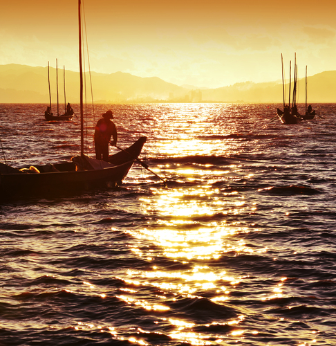 陈子平18288215933《披霞归》