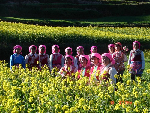 李有龙15887273298《田园春色》