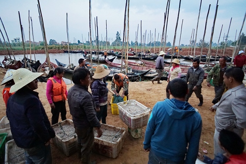 周国能13187414155《家家户户丰收年》