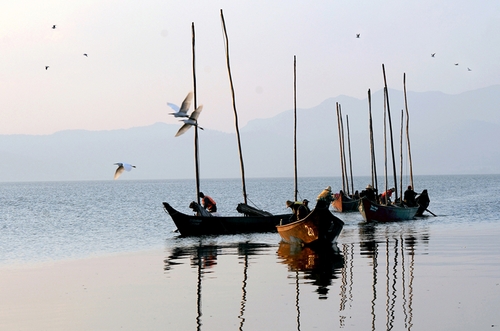 周明清13888386372《和谐渔歌》