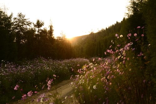 余永林13908800627矿山新貌（古城）