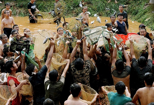 周明清13888386372《年年有“鱼”》