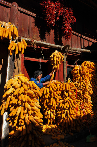 陈明贵《》13888952445