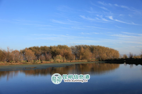 晋宁区长寿村里盛行“爸妈饭桌”5