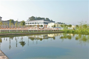 创建全国文明城市我们在行动   晋宁区：绘一幅田园诗画3