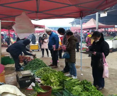 政策法规科——晋宁区农业局全力抓好“春节、两会”期间农产品质量安全专项检查工作图片2（2018.02.08）