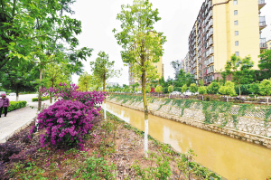 晋宁今年将实施29个滇池保护治理项目