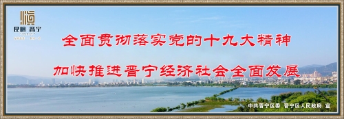 全面贯彻落实党的十九大精神，加快推进晋宁经济社会全面发展。