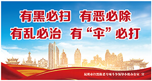 有黑必扫 有恶必除 的乱必治 有“伞”必打