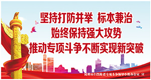 坚持打防并举 标本兼治 始终保持强大攻势 推动专项斗争不断实现新突破