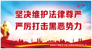 坚决维护法律尊严 严厉打击黑恶势力