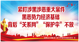 紧盯涉黑涉恶重大案件 黑恶势力经济基础背后“关系网”“保护伞”不放