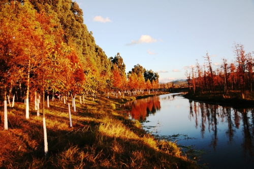 南滇池国家湿地公园