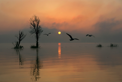 《晨 曲》李永赋 拍摄地：东大河（三等奖）