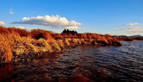 《滇池湖畔好风光》李忠民（13708498436）摄于新街湿地