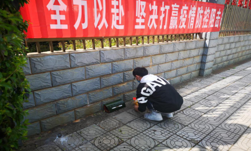 图片3