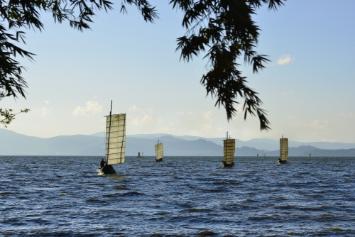 陈子平18288215933《滇池帆影》