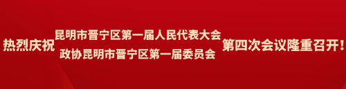 区人大代表：谈感想 谈发展 信心满满1