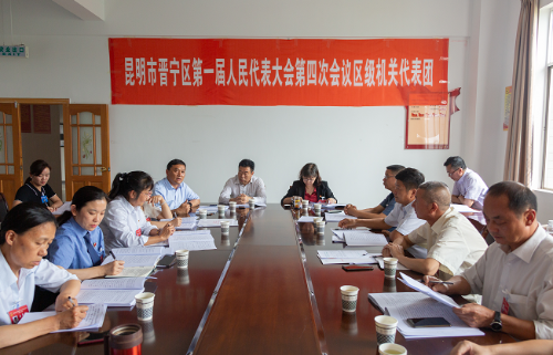 人大代表畅所欲言提建议 为晋宁发展出点子2