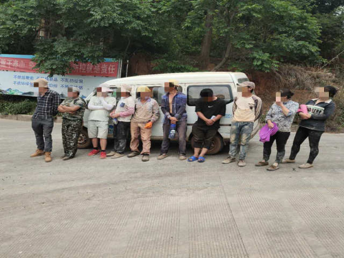 图片3