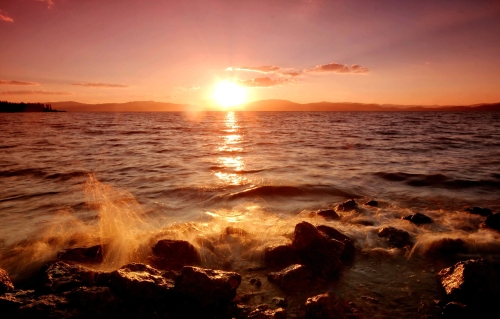 《金色海岸》(张朝成摄)拍摄地：新街湿地13619636109