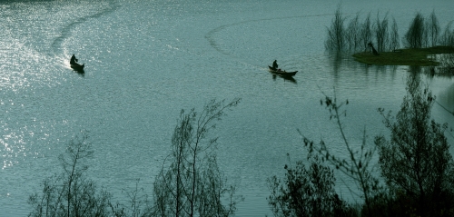 《轻舟戏碧波》李永赋 摄13888619996