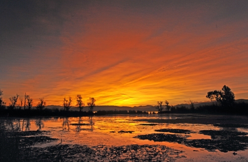 《大东河的早晨》李谷兰摄