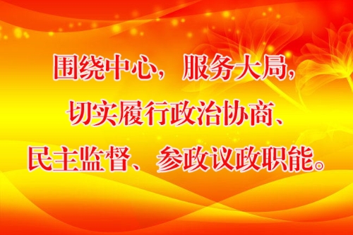 围绕中心，服务大局，切实履行政治协商、民主监督、参政议政职能。