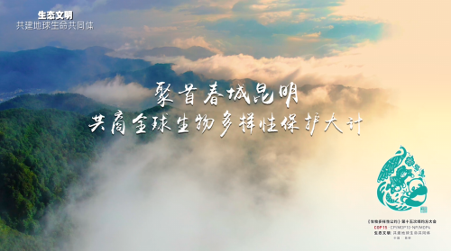 【关注晋宁“两会”】区一届人大五次会议召开预备会议4