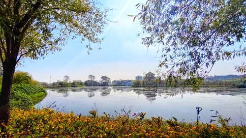 聚焦晋宁 赵书勇摄