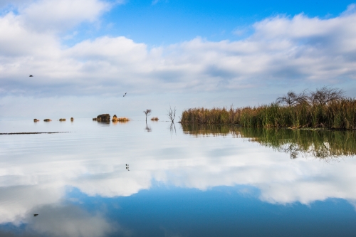1-湖光云影 土春荣 13888480240