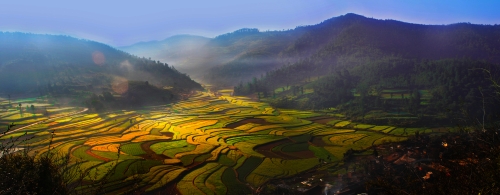 10.29-名称《菜子花香大绿溪》姓名冯山、电话13908870356、时间，2015年，摄地点、晋宁区夕阳乡大绿溪