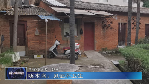 图片8