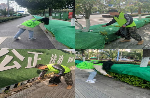 图片12