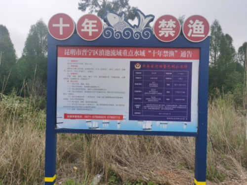 图片21